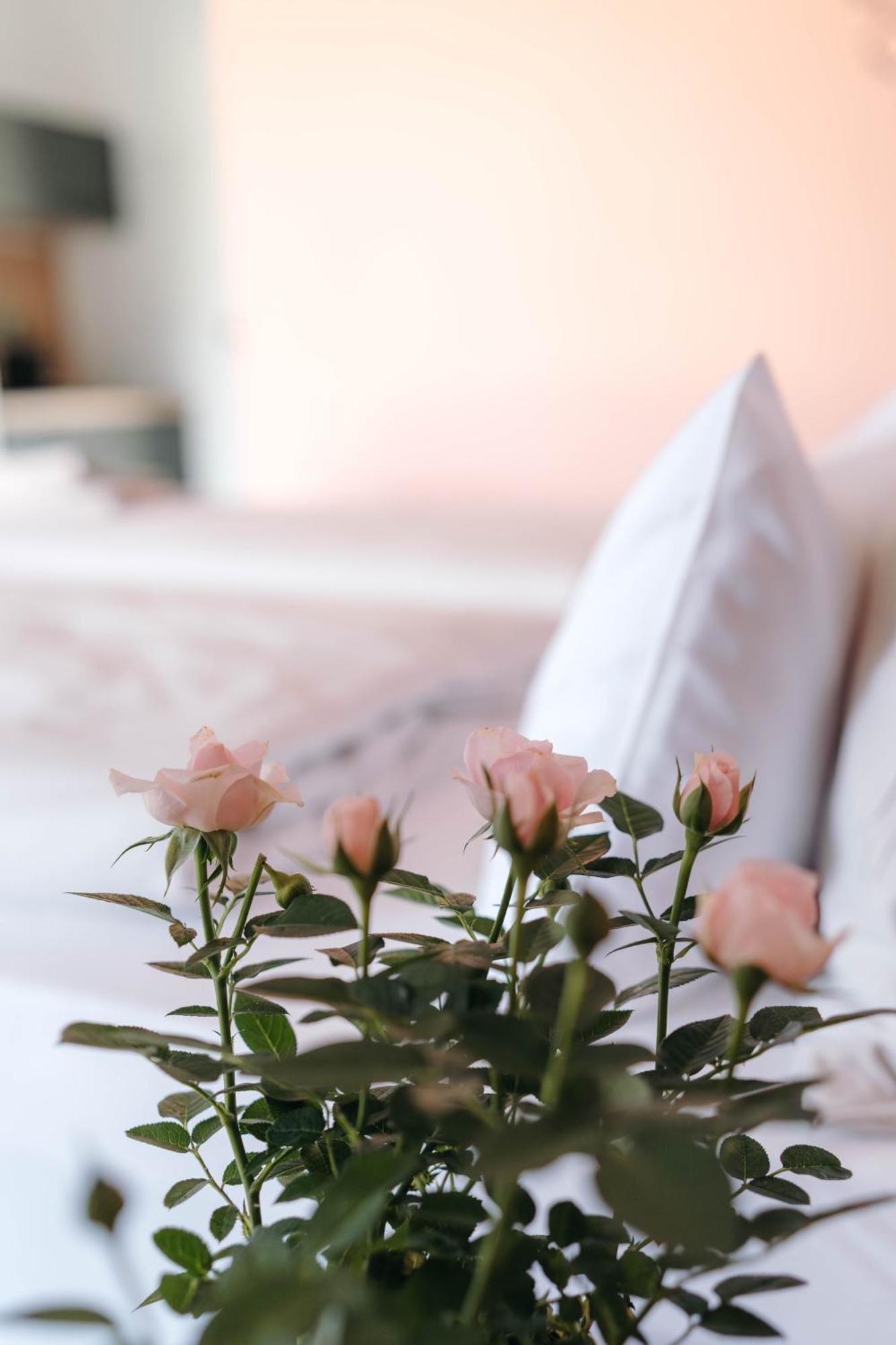 Pension Blumenwiese - Mitten Im Thermenland Burgau Екстер'єр фото